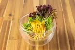 自家製ドレッシングのサラダ（LION ET LAPIN）