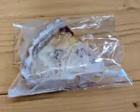 ラフランスタルト（焼菓子キミドリ）
