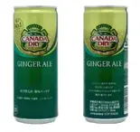 ジンジャエール 250㎖ 缶（【大阪名物 揚げたこ焼き・イカ焼き】粉もん屋 清水店）