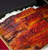 創業90年鰻卸業者直送 厳選うなぎのうな重並(ハーフ)（老舗鰻仲卸直送 うなぎのたかはし 神戸住吉店）