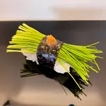 静岡県【芽ねぎの握り梅肉のせ】さっぱり食感！（鮨 比良乃）