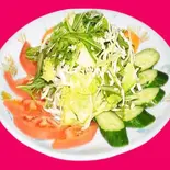 グリーンサラダ( Green salad)（インドネパールレストランCHANDRAMA）