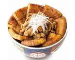 豚バラMIX丼 Mixed Pork Bowl（元祖豚丼屋TONTON広島宝町店）
