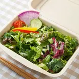 選べるドレッシング10種の野菜サラダ（ハヤシライス専門店Hayashii. 神田淡路町店）