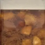 天草晩柑・だいだい（【健康食が自慢】A01屋）