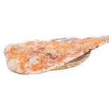 ココナッツ蜂蜜ナン Coconut Honey Naan（サハナ）