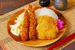 ヒレカツ＆エビフライ弁当（絶品揚げ物 とんとり屋 蕨中央）
