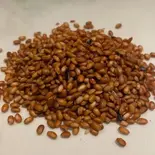 匠の古代米 赤米(150g)（名門匠）