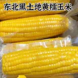 粘玉米(香港餃子酒場 下北沢店)