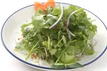 パクチーサラダ Coriander Salad(New Namaste Himal ASAGAYA)