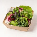 東京野菜サラダ（門(mon)）