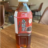 烏龍茶 500ミリ(宮崎チキン南蛮亭)