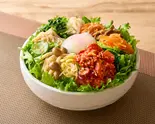 旨辛タコと10種類のナムルビビンバ（野菜食人ビビンバ専門店 大久保本店）