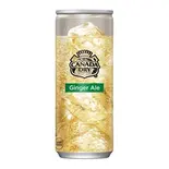 ジンジャーエール 250ml(焼肉酒家 李苑)