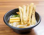 ごぼう天うどん Burdock Tempura Udon（博多麺道場ぶっかけ屋）