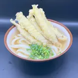 ごぼう天うどん(麺匠酒場ひらお)