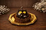 黒猫(Sweetsbox Trepo)