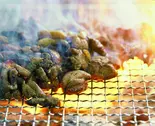 みやざき鶏炭焼き(博多みやざき館KONNE)