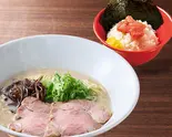 博多とんこつラーメン+明太子ごはん セット(一風堂 新宿アイランドタワー店)