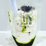 宇治抹茶オレオ（アイスの樹）