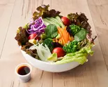 サラダ(自家製ドレッシング付き)※画像はイメージですSalad (with homemade dressing)（牛とスープの東大門市場 神楽坂店）