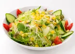 グリーンサラダ Green Salad（インド料理 ハリパリワール西天満店）