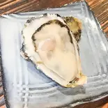 生牡蠣1個☆産地直送!兵庫県播磨灘もしくは長崎県九十九島産(牡蠣酒場すずきんち)