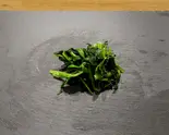 ほうれん草(つけ麺 大かわ 野毛店)