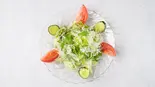 グーリンサラダ - Green Salad（パプリカ）