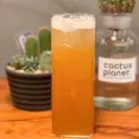 カムクワトティ TraTac（ベトナム料理XUONG RONG QUAN）
