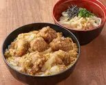 唐とじ丼とミニうどん(冷) Fried Chicken & Omelette Rice Bowl & Mini Udon (Cold)(丼とミニうどん 狸)