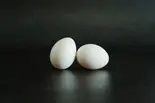 たまご（もつ鍋X九州おつまみ くすお西船橋店）