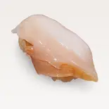 つぶ貝（立食い寿司みさき 上野3153店）