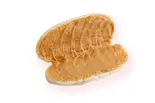 ピーナッツバター Peanut Butter(焼きたてコッペ製パン メトロセンター葛西店)