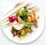 【おすすめ】 前菜の三種盛り合わせ [Very Popular] Assorted 3-Piece Appetizer Plate（小星星餃子酒場）