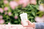 桜ほうじ茶ミルクテーM（TOKI SEVEN TEA＆台湾鶏排ジーパイ、自家製からあげ 新小岩店）