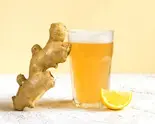 ジンジャーエールginger soda（【出汁の親子丼】鶏ヶ屋(TORIGAYA)～出屋敷店～）