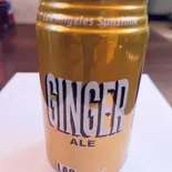 GINGER. ALE（デリーマハル）