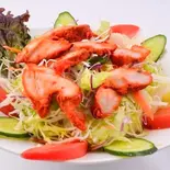 タンドリーチキンサラダ/Tanddori Chicken Salad(インドネパールダイニングマニヤ)