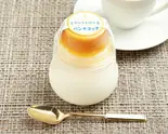 とろ〜りかけ〜るパンナコッタ:マンゴー Melting Pannacotta : Mango(シティライツ)