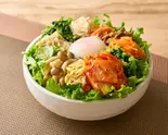 ネバネバ納豆10種類ナムルビビンバ（野菜食人ビビンバ専門店 大久保本店）