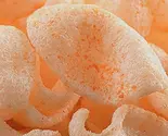 エビせんべい（七左食堂）