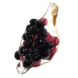 ブルーベリー / Blueberry（CR3°）