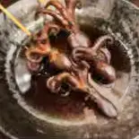 イイダコ Octopus ocellatus（あさ家）