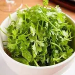 パクチーサラダ/Coriander Salad（南インドエスニックレストランエローラパレス洗足池）