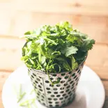 トッピングパクチー Coriander Topping（タイ屋台 999 梅田店）