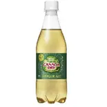 カナダドライ ジンジャーエール 500ml（ミトミトカレー東武練馬店）