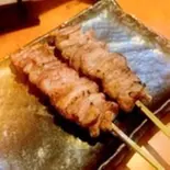 皮串一本(炭火鮮鳥こうざん)