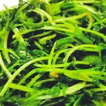 豆苗炒め/Stir Fried bean sprouts(中華料理 龍門)