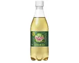 カナダドライ ジンジャーエール 500ml CanadaDry 500PET（扶餘 プヨ 電力ビル店）